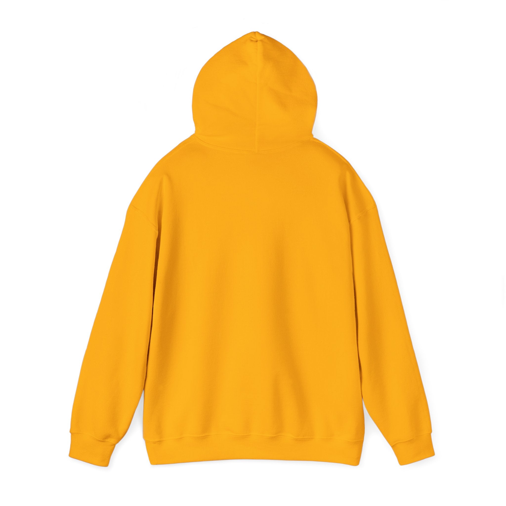 Shining Swarm Hoodie