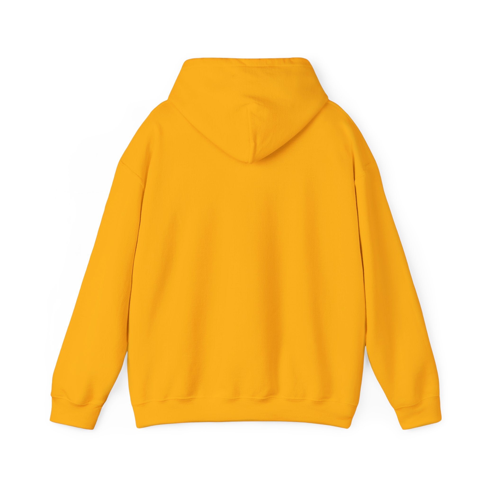 Shining Swarm Hoodie
