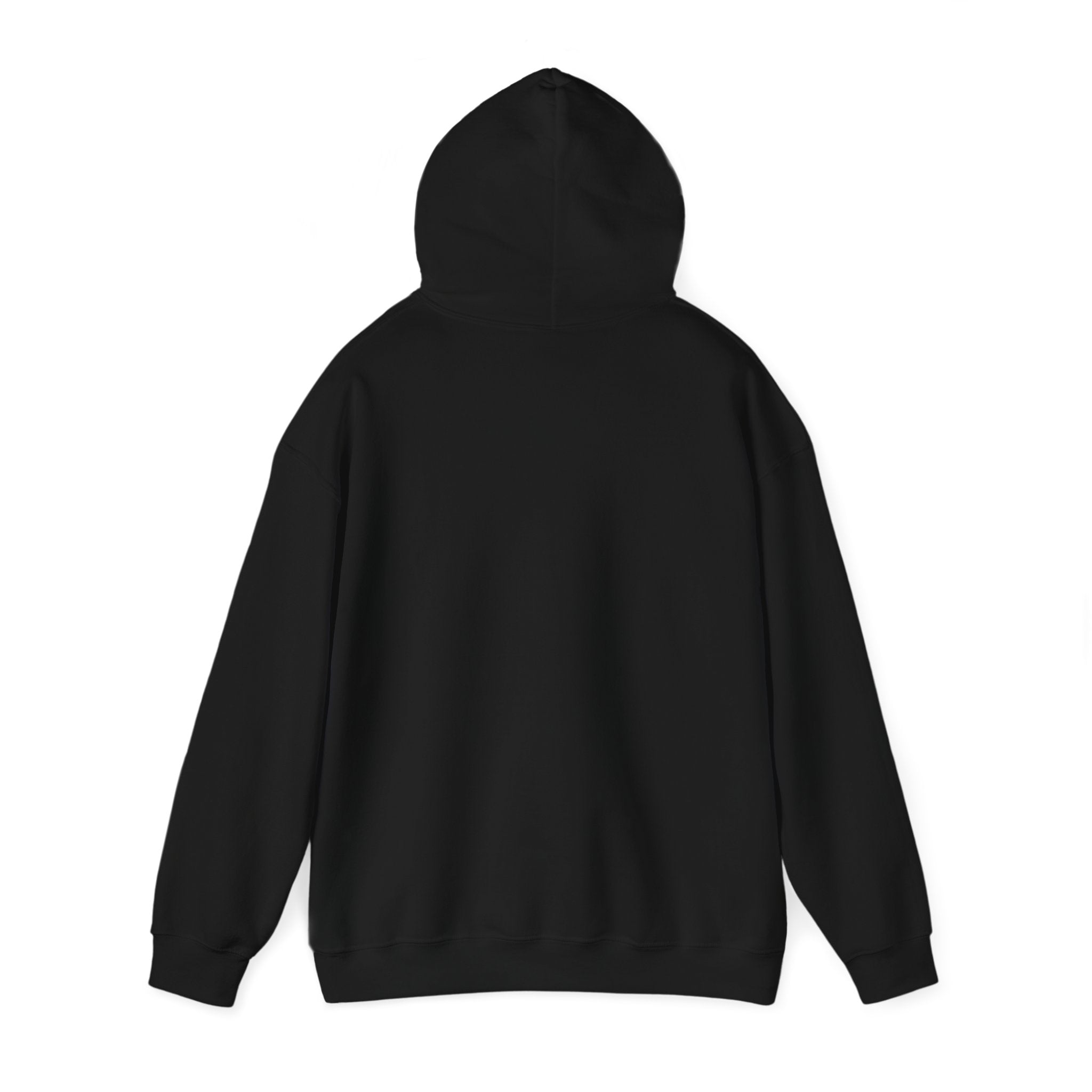Gliding Glaciers Hoodie