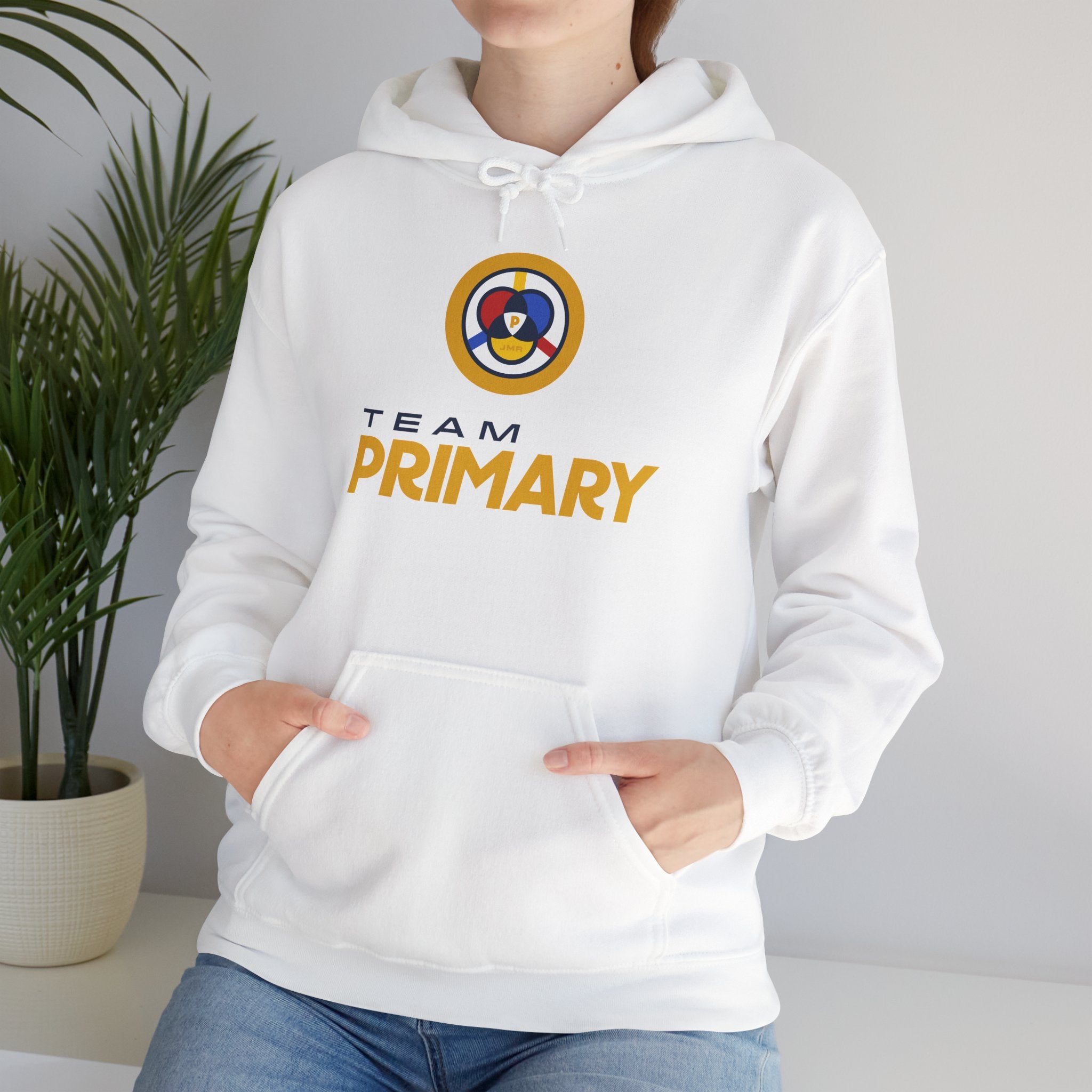 Team Primary Hoodie