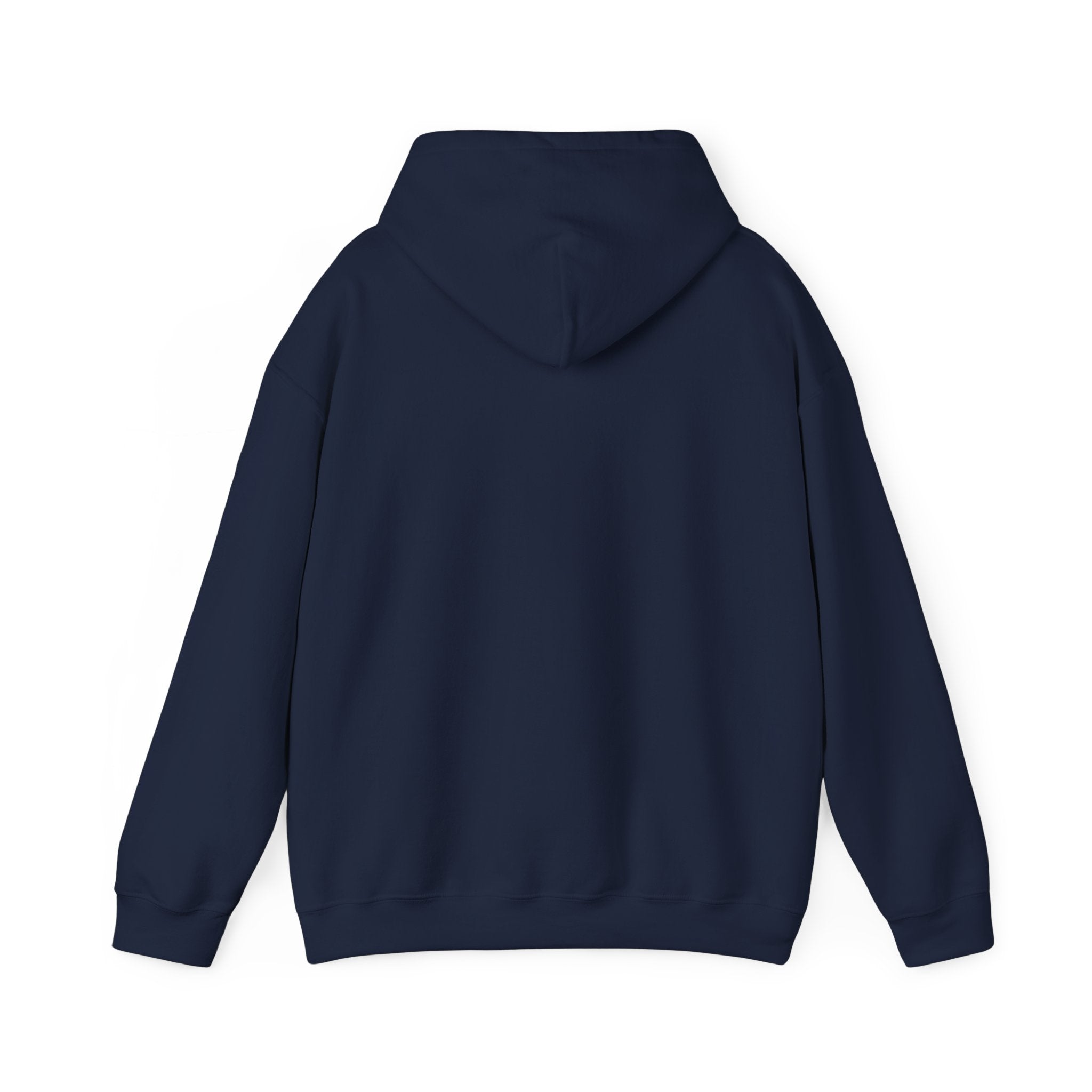 Shining Swarm Hoodie