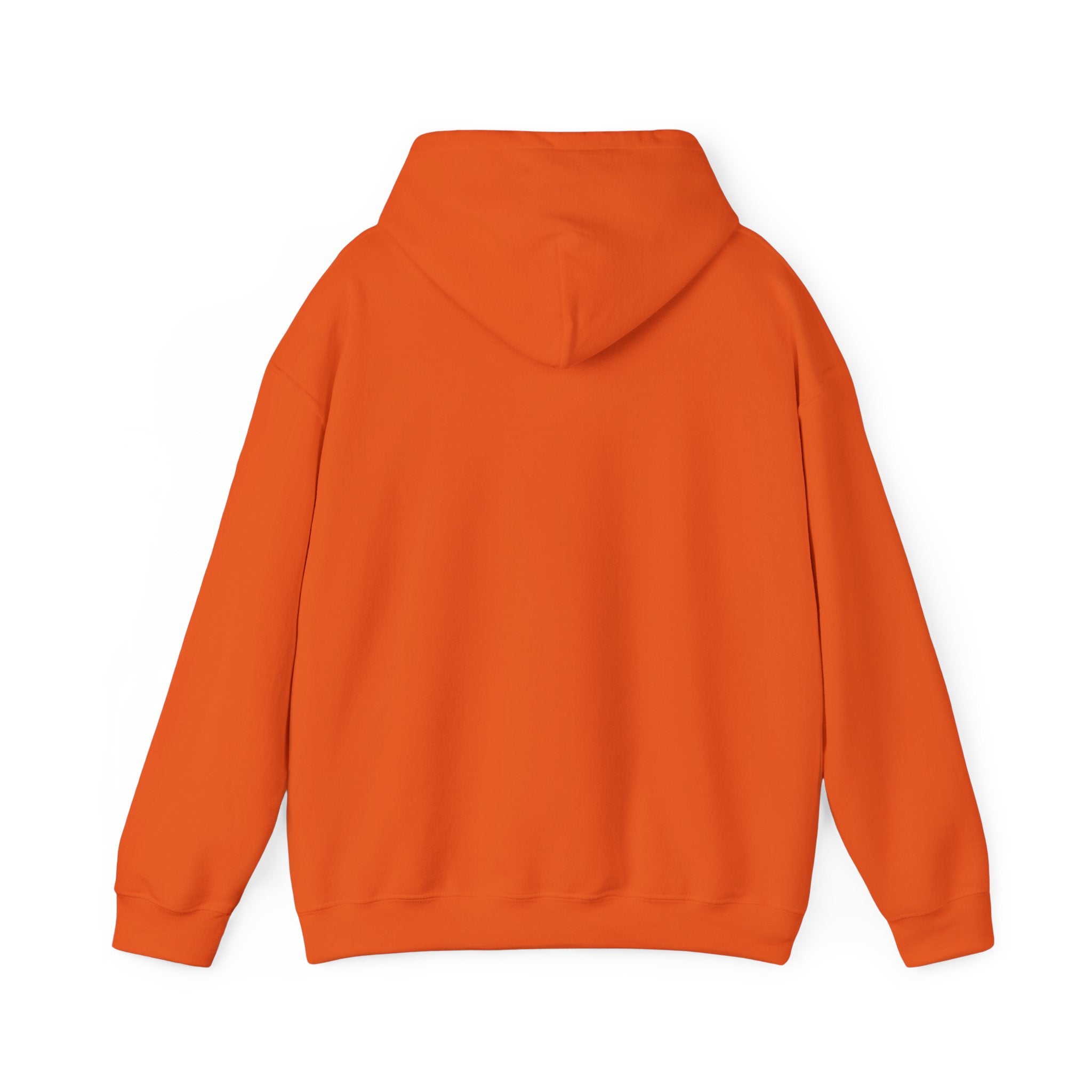 Shining Swarm Hoodie