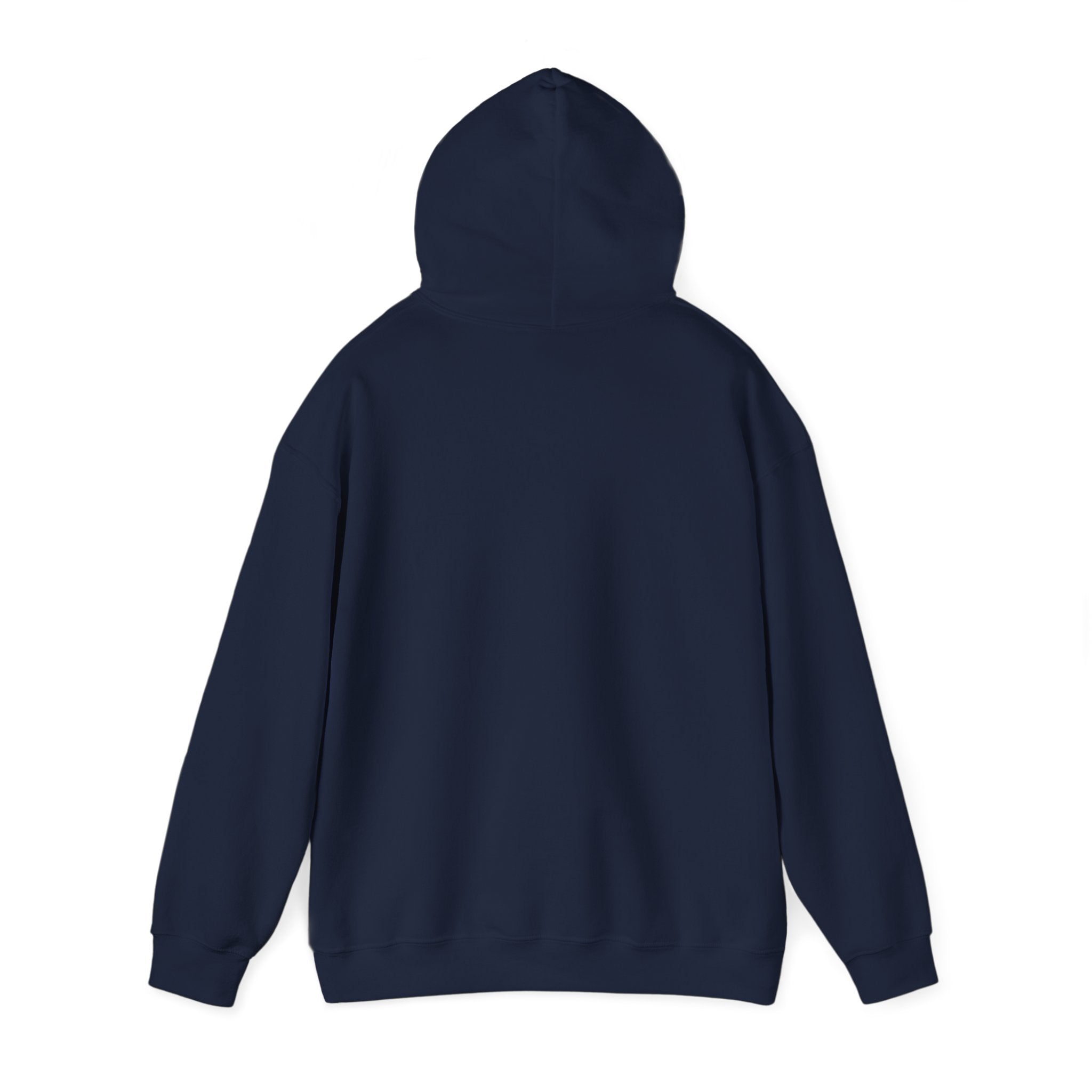 Gliding Glaciers Hoodie