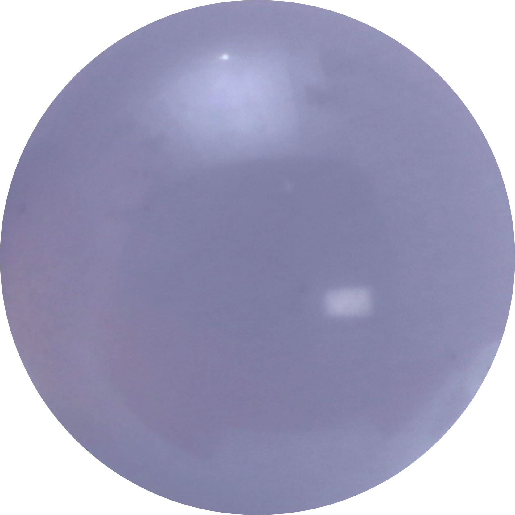 Hazers - Team Marbles – Jelles Marble Runs